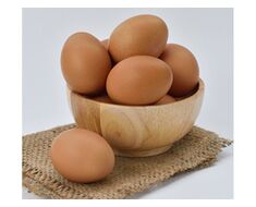 Chicken Egg