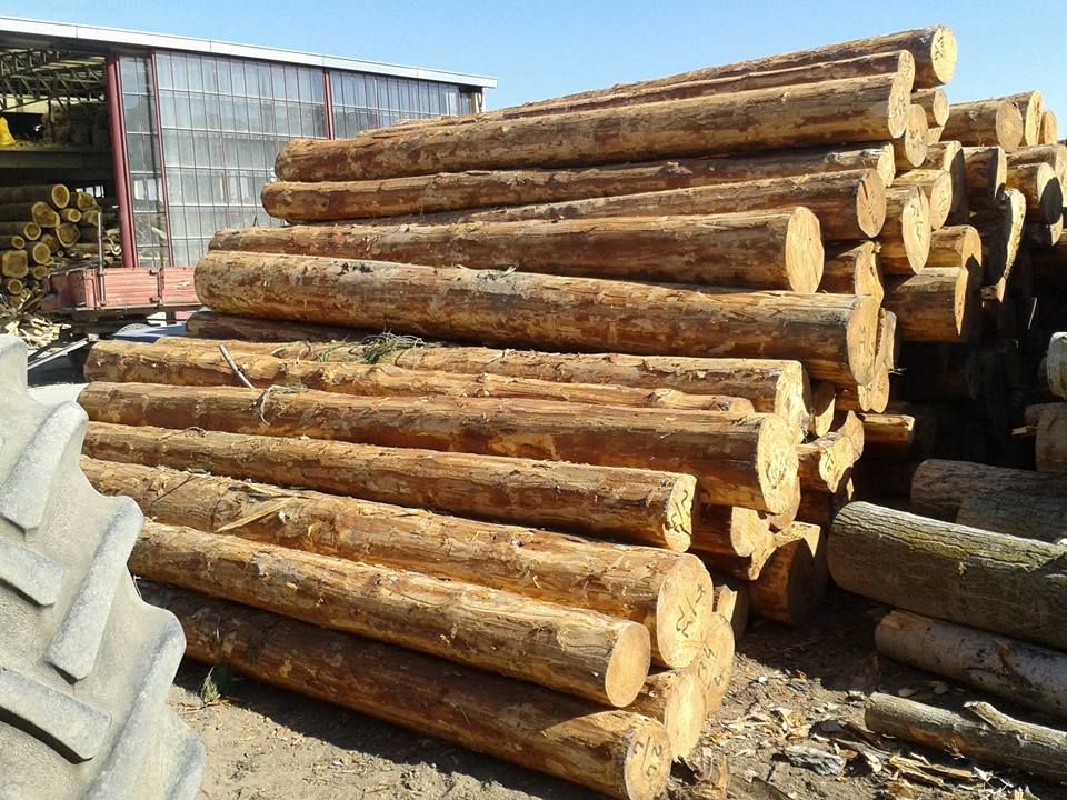 منتجات الغابات