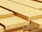 منتجات الغابات