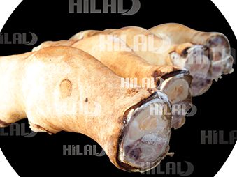 Sakatat Büyükbaş Grubu