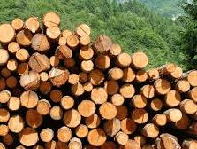 Produits De Décoration En Bois