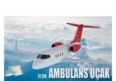 Air Ambulance Rent