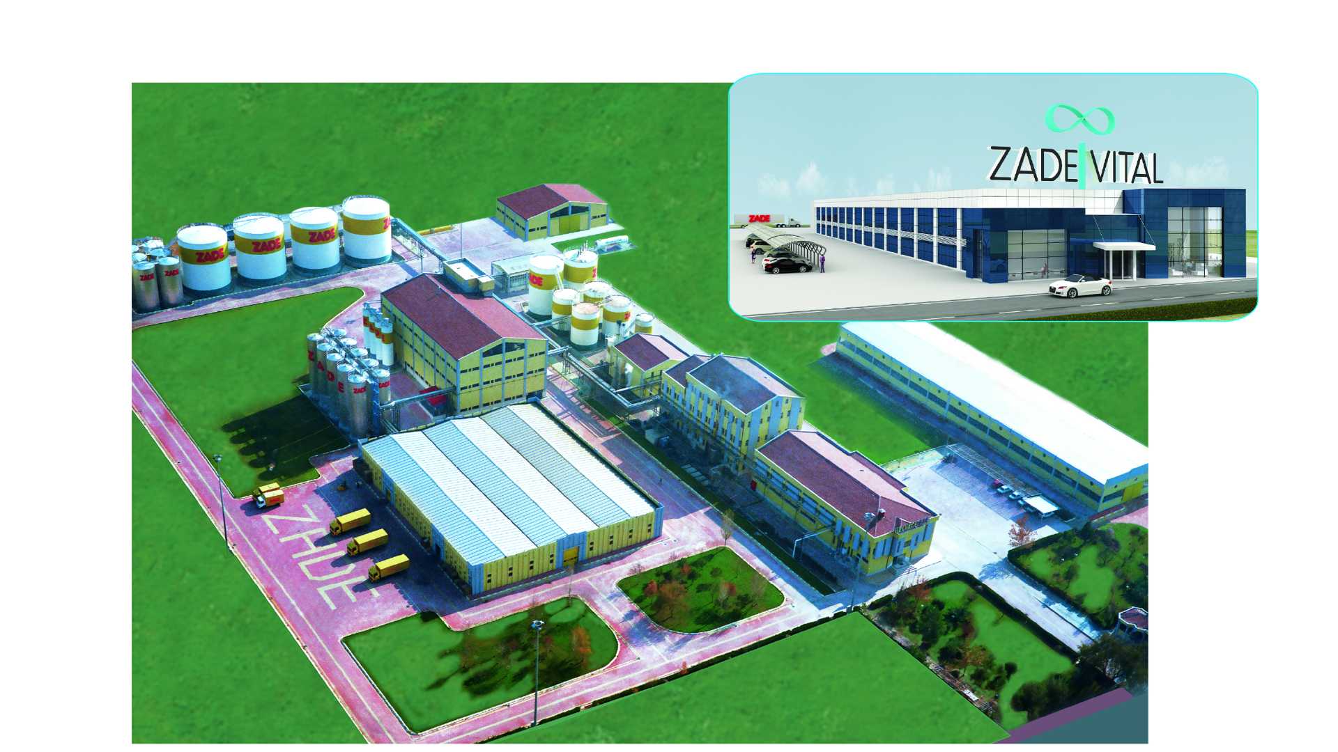 Zade Vital İlaç Kimya San. ve Tic. A. Ş. 