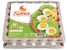 Куриное Яйцо