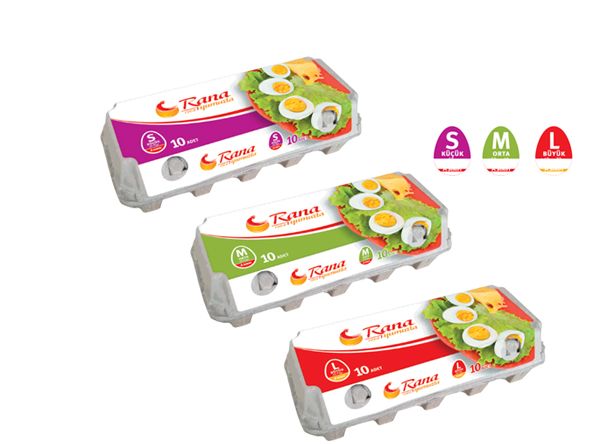 Куриное Яйцо