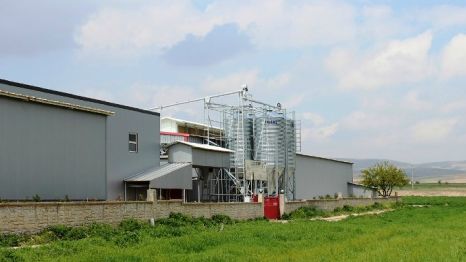 Egg Line Servis İç Dış Ticaret Otomotiv Gıda Sanayi Ve Ticaret Limited Şirketi