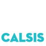 Calsis Otomotiv &#x130;&#xE7; Ve D&#x131;&#x15F; Ticaret Limited &#x15E;irketi