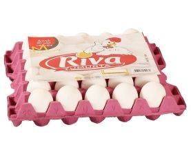 Куриное Яйцо