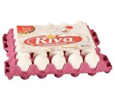 Chicken Egg