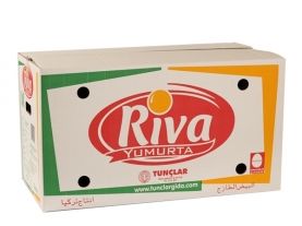 Куриное Яйцо