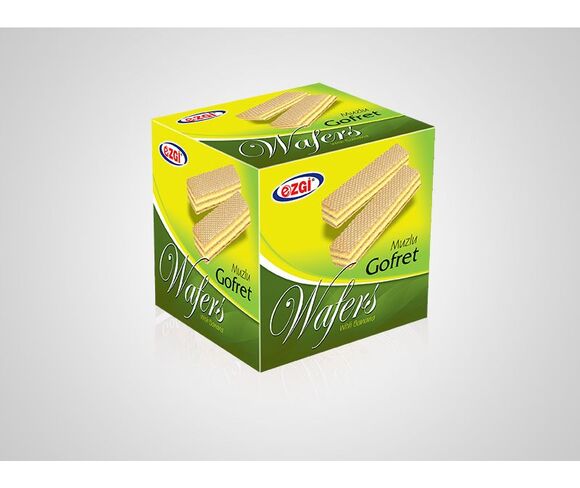 Wafer