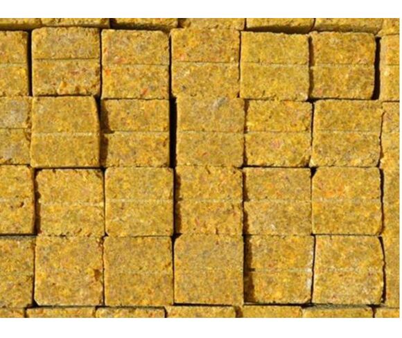 Corn Pulp