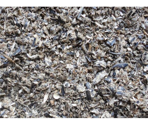 Sunflower Pulp