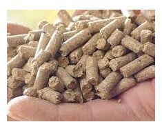 Animal Feed