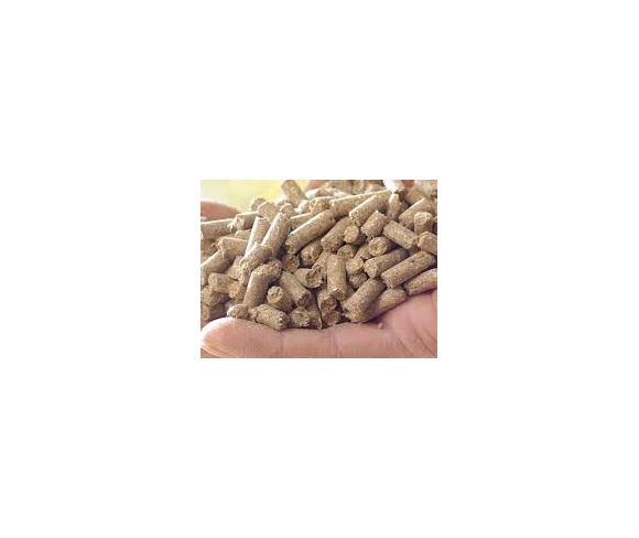 Animal Feed