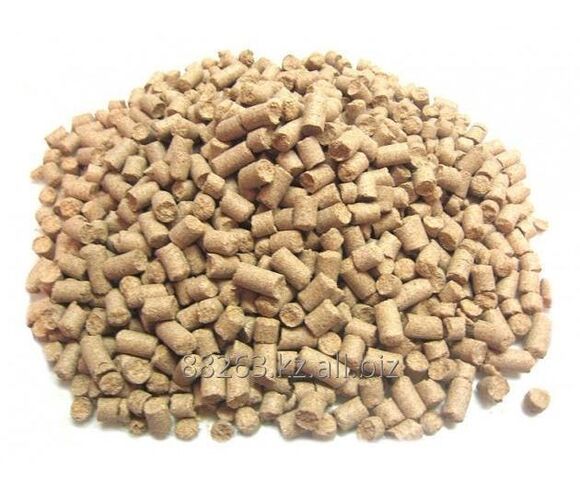 Animal Feed