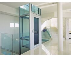 Vertical Well Disabled Elevator