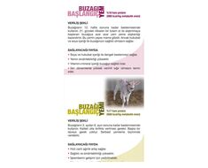 Alimento Para Engorde