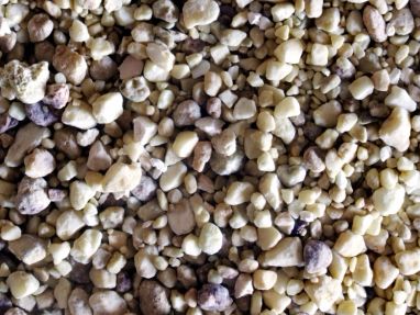 متكلس المغنسيت