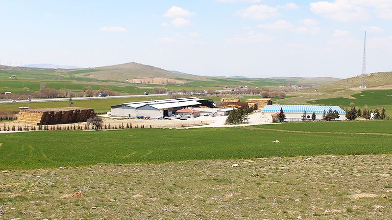 Mega Tesnim Tarım Ürünleri Gıda ve İnş. Tic. Ltd. Şti.