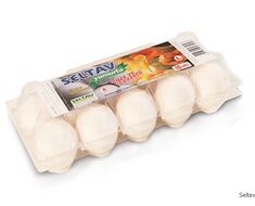 Egg