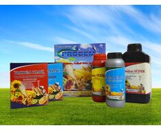 Plant Nutrition