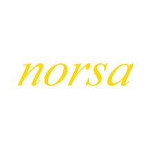Norsa Mak. Kalıp Kimya San. Tic. Ltd. Şti. Norsa Mak. Kalıp Kimya San. Tic. Ltd. Şti.