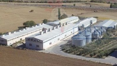 Denge &#x130;n&#x15F;aat Nakliyecilik Hayvanc&#x131;l&#x131;k Taahh&#xFC;t Sanayi Ve Ticaret Limited &#x15E;irketi