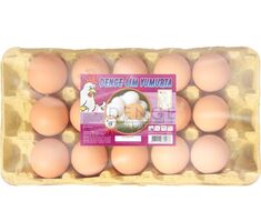 Chicken Egg