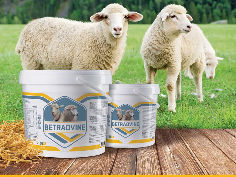 작은 가축을 위한 미네랄과 비타민 보충제