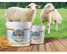 Mineral And Vitamin Supplement For Small Cattle