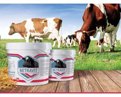 Vitamin And Mineral Supplements For Bovine Animal