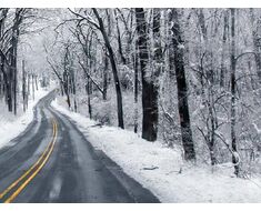 Yol Tuzu