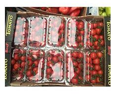 Fruit-vegetable
