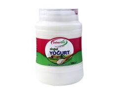 Village Type Yogurt