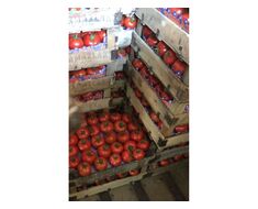 Fruit-vegetable