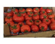 Fruit-vegetable
