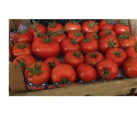 Fruit-Vegetable