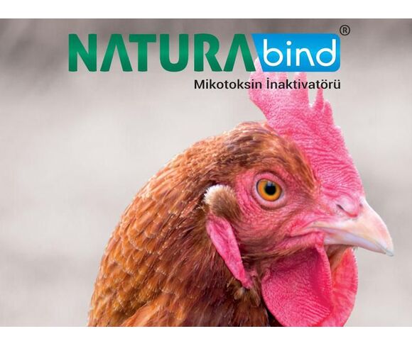 Additifs d'Aliment des Animaux