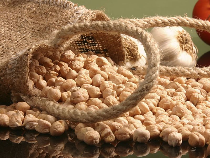 Chickpea