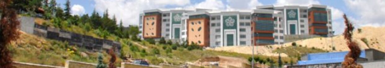 Necmettin Erbakan Üniversitesi