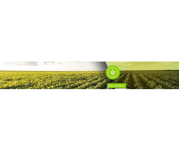 Agro Group Tarım Makinaları Sanayi Ve Ticaret Anonim Şirketi