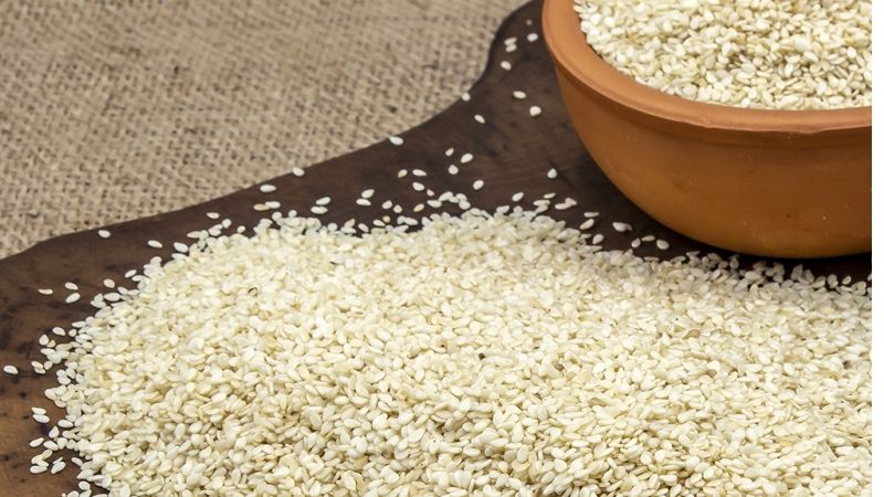 Ataerler Makina Sanayi Ve Ticaret Limited Şirketi