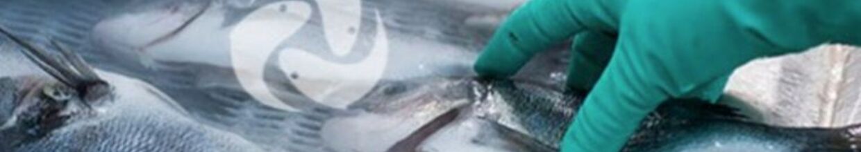Erba Su Ürünleri İthalat İhracat Sanayi Ve Ticaret Limited Şirketi Konya Selçuklu Şubesi