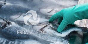 Erba Su Ürünleri İthalat İhracat Sanayi Ve Ticaret Limited Şirketi Konya Selçuklu Şubesi