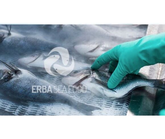 Erba Su Ürünleri İthalat İhracat Sanayi Ve Ticaret Limited Şirketi Konya Selçuklu Şubesi