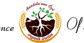 Mustafa Çağlar-Turkuaz Bilgisayar Yazilim Donanim Network Otomasyon Sistemleri