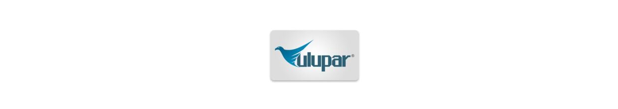 Ulupar Otomotiv İç Ve Dış Ticaret Yedek Parça Sanayi Limited Şirketi