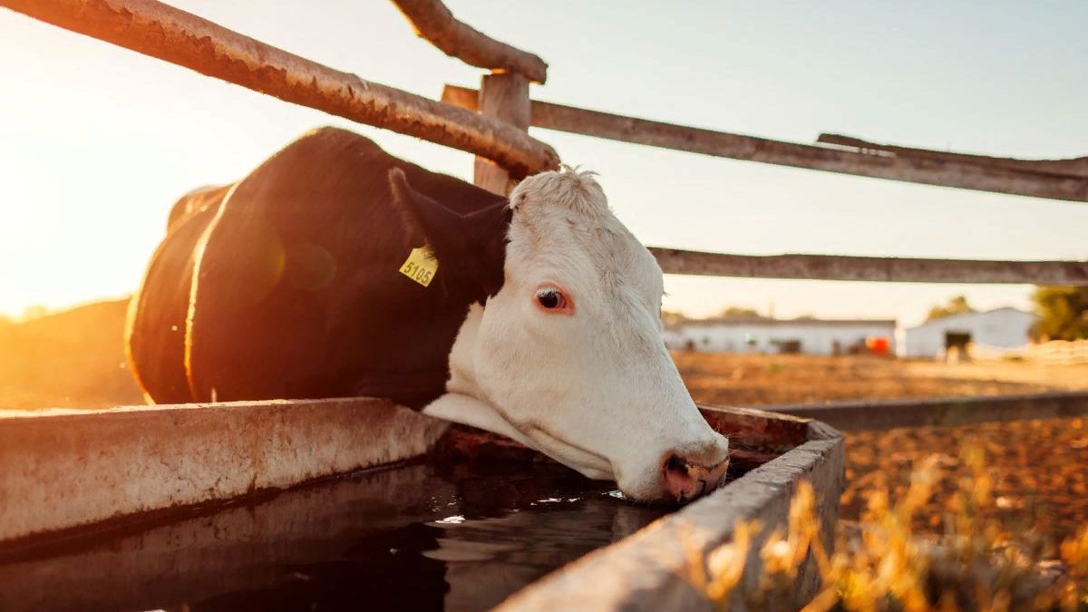 Uzsan Tarım Hayvancılık Ekipmanları