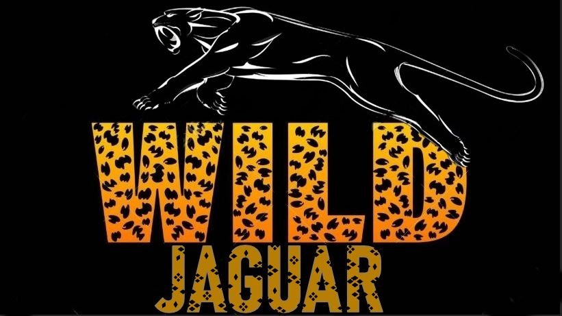 Mfu &#x130;&#xE7; Ve D&#x131;&#x15F; Ticaret Limited &#x15E;irketi